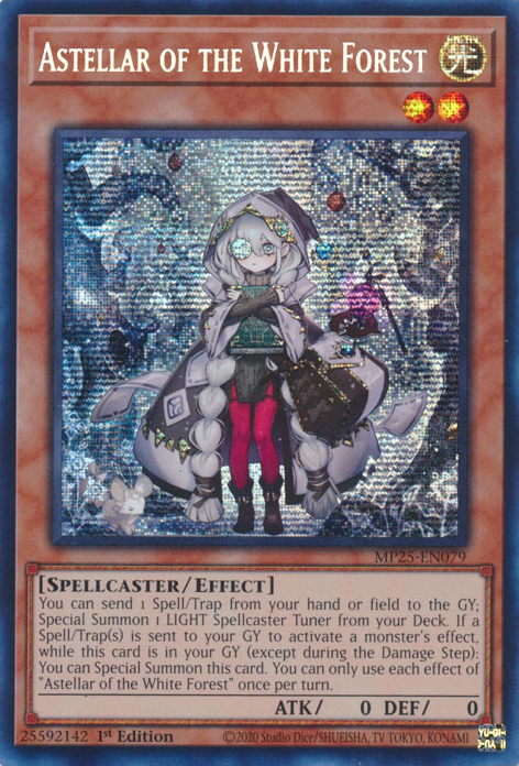ASTELLAR OF THE WHITE FOREST [MP25]
