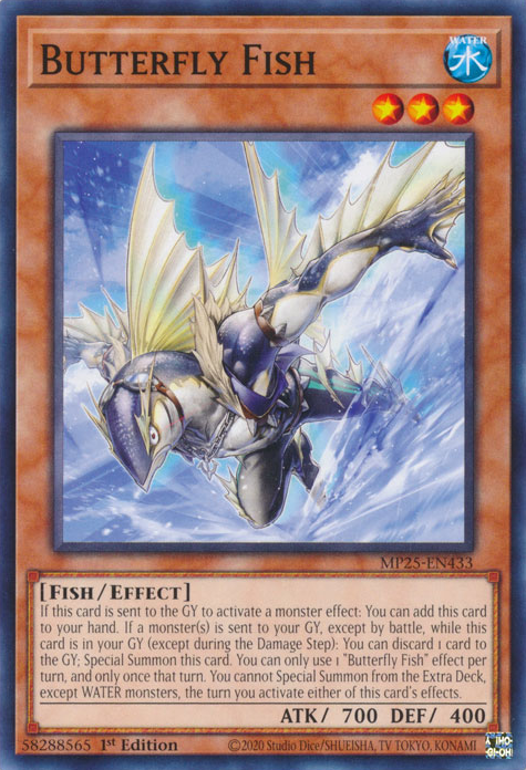 BUTTERFLY FISH [MP25]