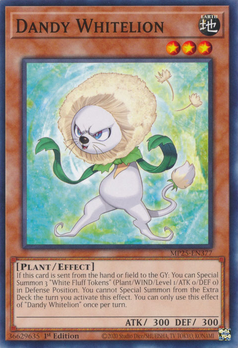 DANDY WHITELION [MP25]