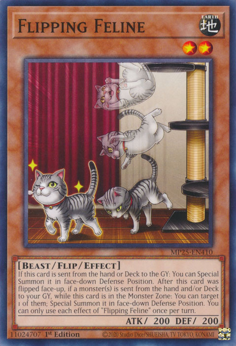 FLIPPING FELINE [MP25]