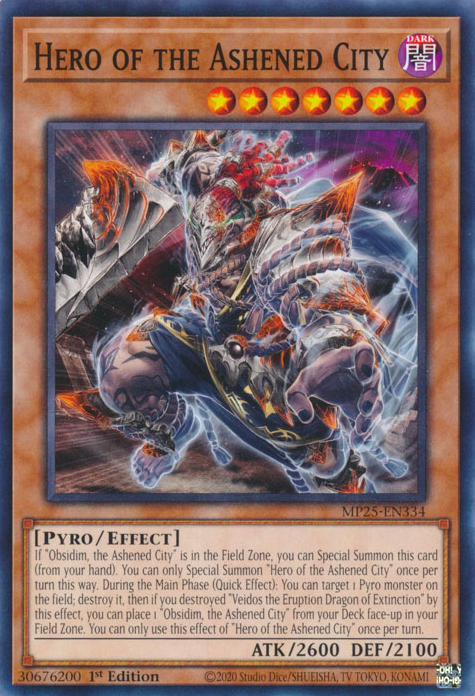 HERO OF THE ASHENED CITY [MP25]