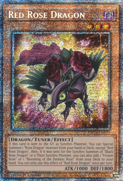 RED ROSE DRAGON [MP25]