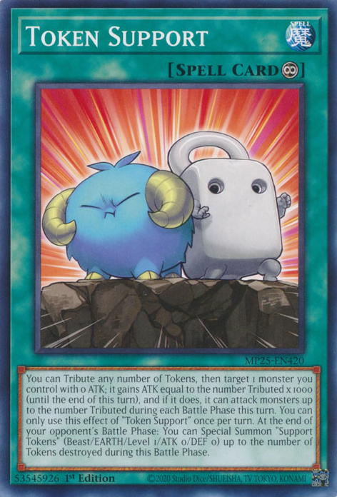 TOKEN SUPPORT [MP25]