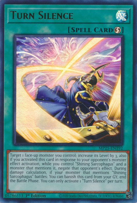 TURN SILENCE [MP25]