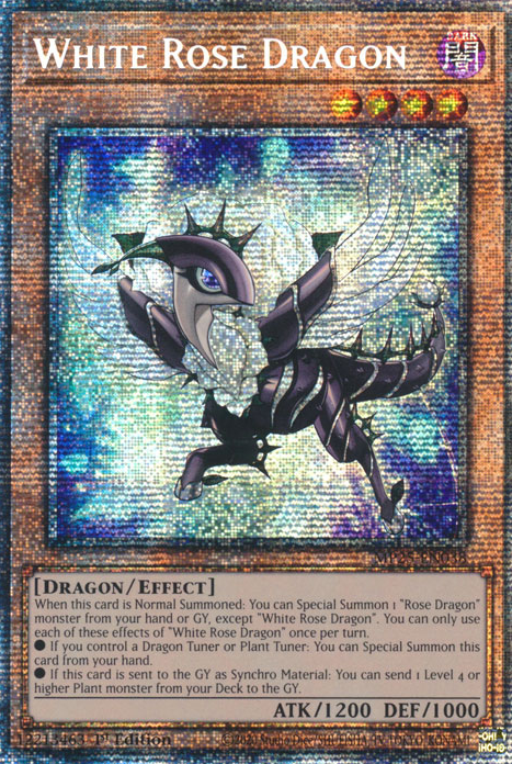 WHITE ROSE DRAGON [MP25]