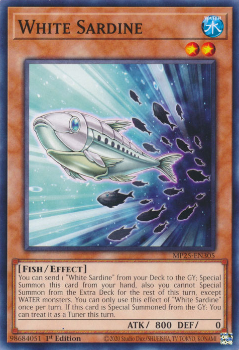 WHITE SARDINE [MP25]